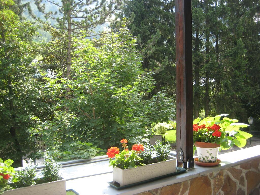Privat Apartment Бад-Гофгаштайн Номер фото